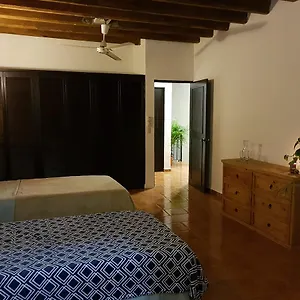 Paloma Puerto Vallarta